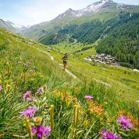 Balme 2 - Haven And Mont Blanc View