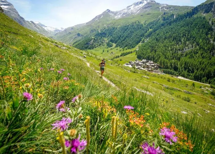 Balme 2 - Haven&mont Blanc View